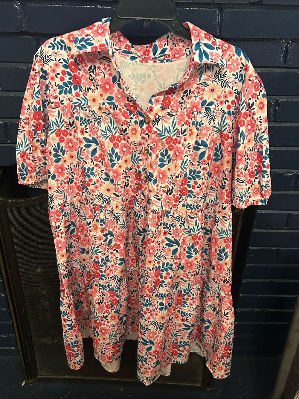 Floral Button-Front Mini Dress in Pink & Blue